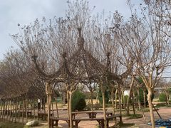 -武汉紫薇都市田园