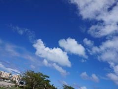 -美国纪念公园