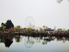 -无锡蠡湖国家湿地公园-蠡园