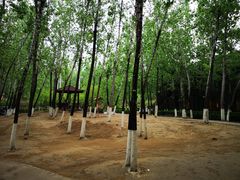 -蓝地时尚庄园(北京清河营地铁站店)