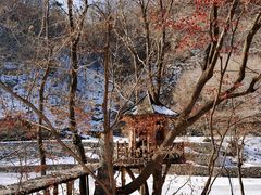 -关门山森林公园