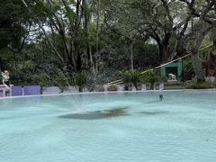 -九龙公园