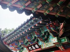 -海东龙宫寺