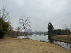 -眉山湿地公园(东坡区)