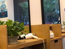 -章光101防脱养发荟