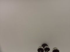 -小桃红·东北菜·春饼烤鸭(南阳湖街店)