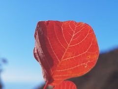 -野鸭湖国家湿地公园