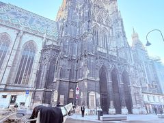 -斯蒂芬主教座堂(Stephansdom)