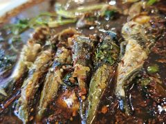 -胖大姐黄辣丁鱼庄(新津店)