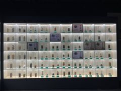 -广东中医药博物馆