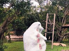 -深圳野生动物园