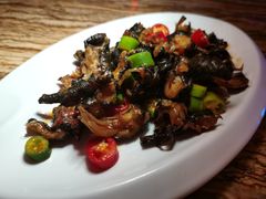 -蝴蝶汇音乐酒馆(罗湖店)