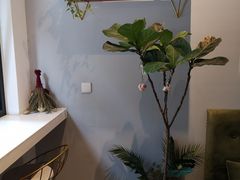 -朱迪小铺.半糖奶油蛋糕(海汇港店)