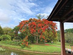 -中国科学院西双版纳热带植物园