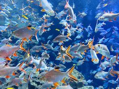 -成都浩海立方海洋公园