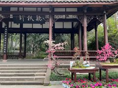 -成都杜甫草堂博物馆