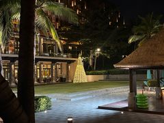 -海南清水湾莱佛士酒店