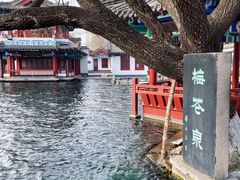 -百脉泉景区