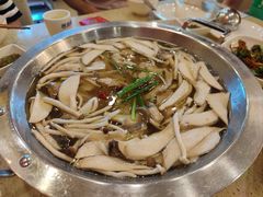 -芭夯兔·无骨兔汤锅(华阳店)