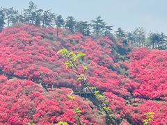 -木兰云雾山