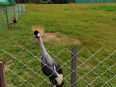 -沈阳森林动物园