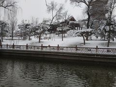 -迎泽公园