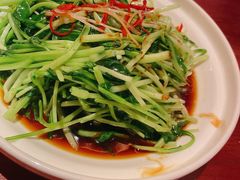 葱油鸡毛菜-啫胜(西城红场店)