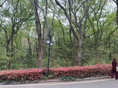 -句容茅山景区