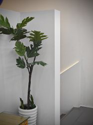 -CIT造型·烫发·染发