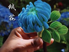-中国丝业博物馆