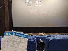 -临泉大地影城(大润发店)