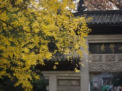 -黔灵山公园