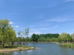 -东郊湿地公园