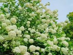 -蠡湖大桥公园