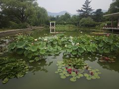 -国家植物园南园