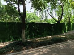 -堤角公园