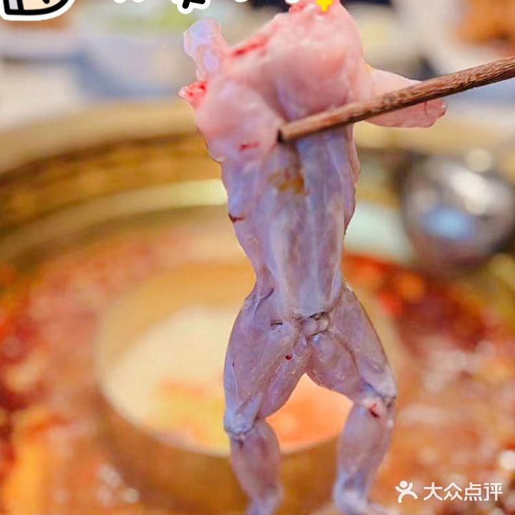 💕牛蛙爱好者必打卡 –唐钵虎美蛙自助火锅