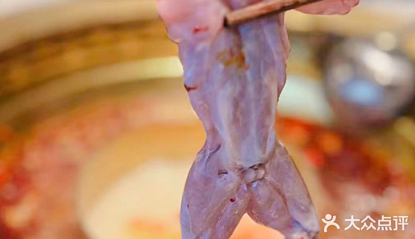 💕牛蛙爱好者必打卡 –唐钵虎美蛙自助火锅