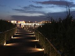 -天津滨海圣光皇冠假日酒店