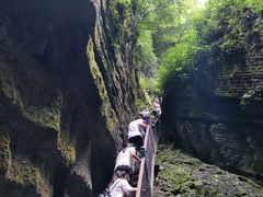 -梦幻奥陶纪景区