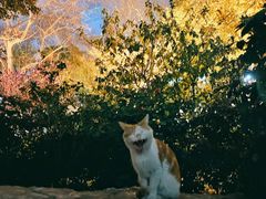 -静安公园(静安寺街道)