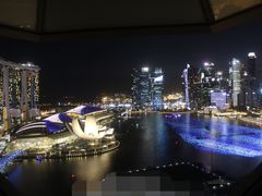 -新加坡丽思卡尔顿美年酒店