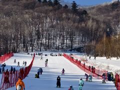 -亚布力新体委滑雪场