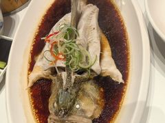清蒸鲈鱼-梅利汴京烤鸭•开封豫菜地标店(东大街店)