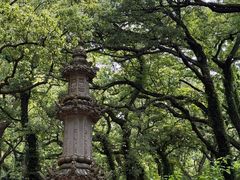 -普陀山风景名胜区-法雨禅寺