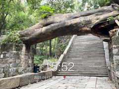 -泰山风景名胜区