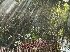 -Helens海伦司小酒馆(王家湾人信汇店)