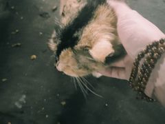 -棠记大排档(海珠店)