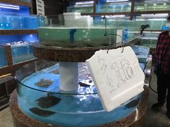 水产区-渔人湾码头海鲜市场负二楼