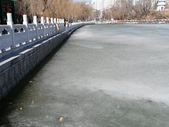 -西宁市人民公园(城西区)